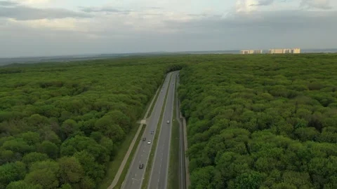 Aerial drone pull-back shot over a forest highway Stock Footage 338004456