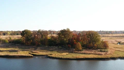 Aerial drone pull out brilliantly colored tree cluster on staten island in Stock Footage 229350130