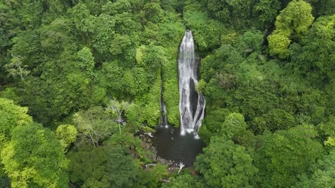 Aerial Drone Pullback Over Banyumala Waterfall Revealing Tropical Jungle, Bali Stock-Footage 330492637