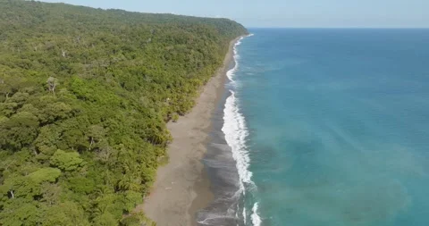 Aerial Drone Pulling Backward Over Rainforest Coastline Beach With Palm Trees Stock Footage 277079182