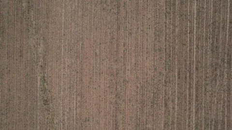Aerial Drone Push Down Over Abstract Crop Row Patterns on Farmland in Po Valley Stock Footage 336663624