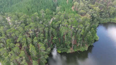 Aerial drone push forward over forest and lake Stock Footage 332749791