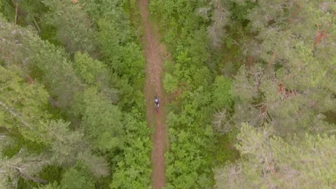 Aerial drone push over cyclist on forest trail, Falun, Sweden, overcast summer. Stock Footage 347054908