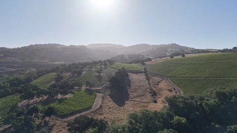 Aerial Drone Push In Over Vineyard Hills, Napa Valley California, 4K Vídeo Stock 336034579