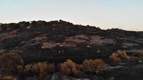 Aerial Drone Push In Over Wildfire Burn Scar at Dusk, Napa County, 4K Stock Footage 336353983