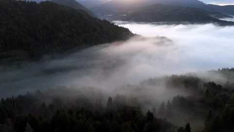 Aerial drone push-in shot over a moody foggy forest in the morning Video stock 317634860