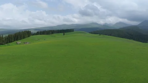 Aerial drone push in shot of vast green alpine meadow, Tianshan mountains Stock Footage 345424819