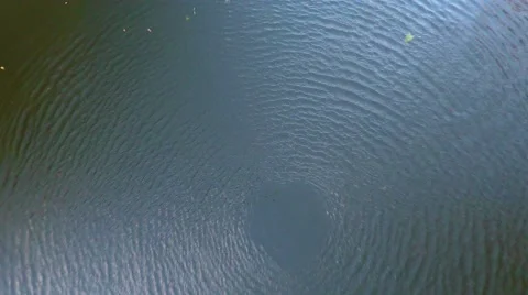 Aerial drone reflection in water Stock Footage 46753117