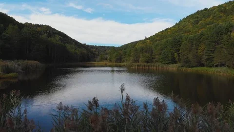 AERIAL DRONE REVEAL SHOT OF POND LAKE IN VERMONT Stock Footage