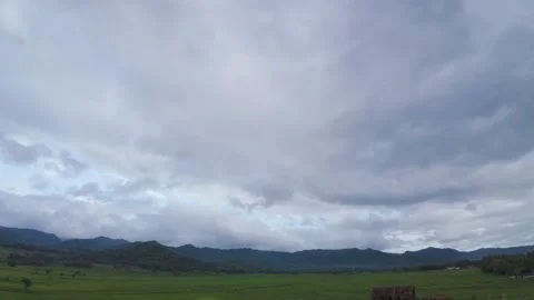 Aerial drone on rice fields Stock Footage 327440201