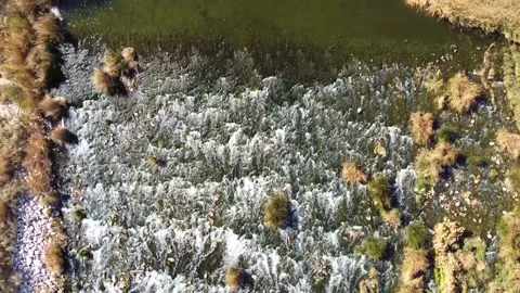 Aerial Drone River Rapids Top Down Flyover Stock Footage 151819619