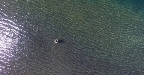 Aerial drone scene top view of fly fishing man casting. Catch and release. 스톡 동영상 72249376
