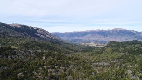 Aerial drone scene from the valley throw a rock wall with trees, araucarias 스톡 동영상 89821600