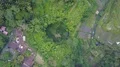 Aerial drone shot ascent urban jungle landscape with palm and fern trees 4k or 4k+ Resolution