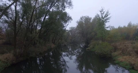 Aerial Drone Shot Backwards River Trees Foggy East Europe Forest Nature Outdoors Stock Footage 104730096