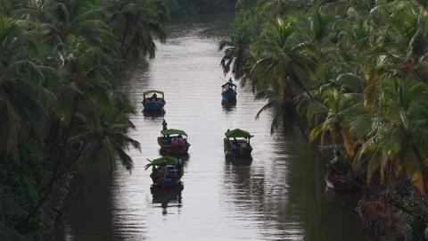 Aerial drone shot of backwaters in Honnavar Karnataka India Stock Footage 333550009