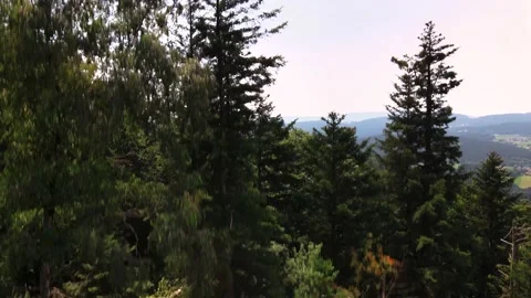 Aerial drone shot of the bavarian forest flying upwards Stock Footage 138082553