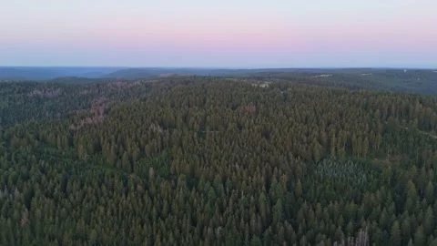 Aerial drone shot of Black Forest in Germany at sunset, push in 스톡 동영상 345013056