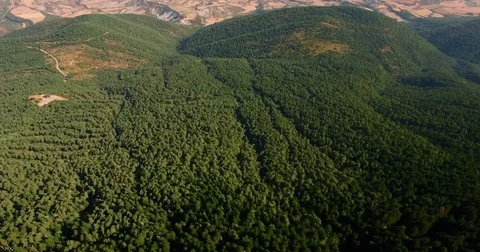 Aerial drone shot. Camera tilts to forest view. Stock Footage 75167172