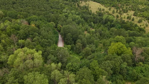 An aerial drone shot captures a winding asphalt road disappearing into a dense 库存影片 340849451
