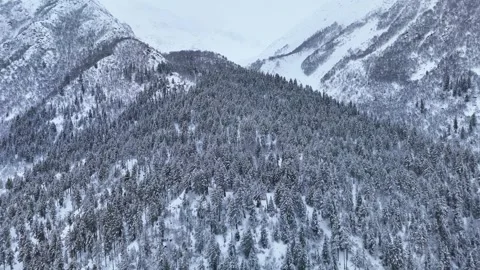 Aerial drone shot capturing a breathtaking view of snow-covered trees in the Stock Footage 304949077
