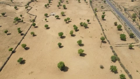 Aerial drone shot capturing the solitude of a car journeying through the dry and Stock Footage 310748857