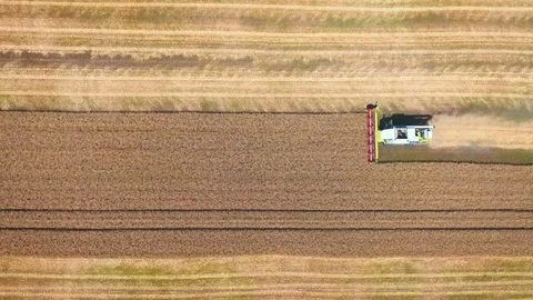 Aerial drone shot of a combine harvester working day in big a field. From top. Stock Footage