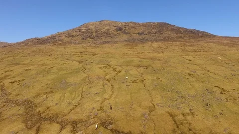 Aerial Drone Shot of The Cooley Mountains, Ireland with Roaming Wild Horses. Vídeo Stock 99280484