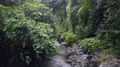 Aerial drone shot deep flyover small green rocky waterfall jungle valley in Bali 4k or 4k+ Resolution