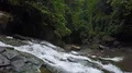 Aerial drone shot deep flyover small green rocky waterfall jungle valley in Bali 4k or 4k+ Resolution