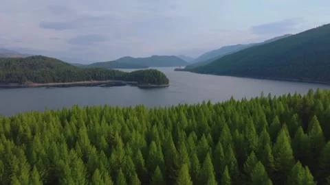Aerial Drone Shot of Dense Pine Forest and Calm Lake with Mountain Landscape Stock Footage 337762341