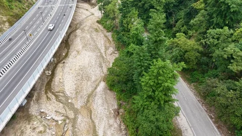 Aerial drone shot of elevated highway bridge passing green forest Vidéo 347769697