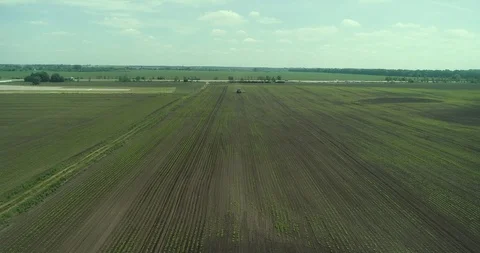 Aerial drone shot of a farmer spraying soybean fields Stock Footage