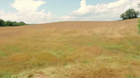 Aerial Drone shot of a field Stock Footage 64577862