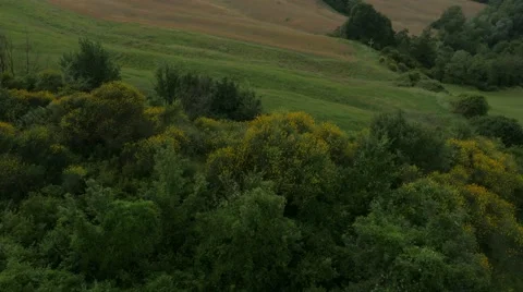 Aerial Drone shot of a field Stock Footage 64580209