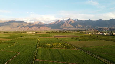 Aerial drone shot of fields and mountains in Kyrgyzstan Stock Footage 197333148