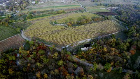 Aerial drone shot of fields in carso karst Video stock 233634649