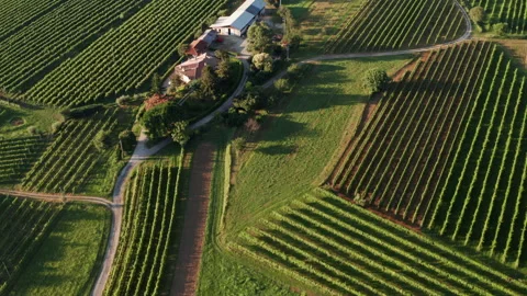 Aerial drone shot of fields in carso karst Video stock 233668113