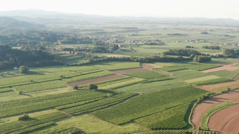 Aerial drone shot of fields in carso karst 스톡 동영상 233668224