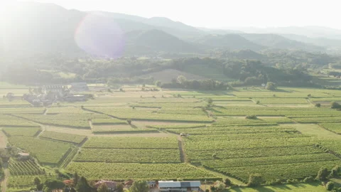 Aerial drone shot of fields in carso karst 스톡 동영상 233668504