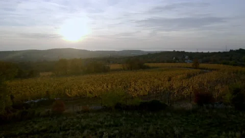 Aerial drone shot of fields during sunset in carso karst Stock-Footage 233636094