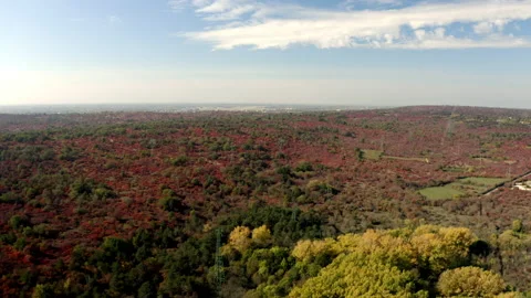 Aerial drone shot of fields during sunset in carso karst Stock-Footage 233639814