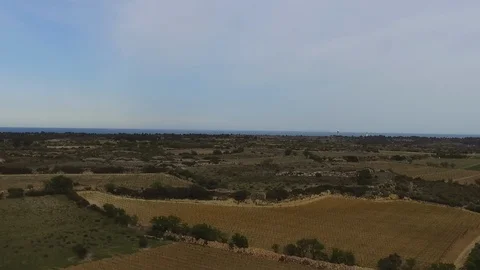 Aerial Drone shot on fields with ocean in background during the summer. France. 스톡 동영상 108618660