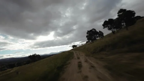 Aerial drone shot flying fast  past trees and grass Vidéo 174191741
