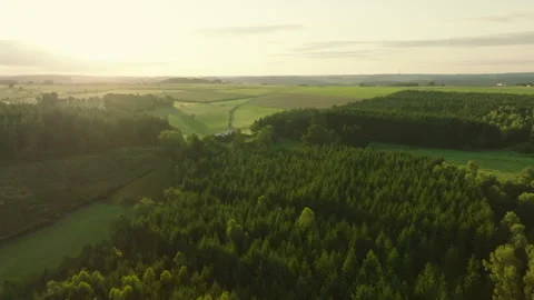Aerial drone shot flying forward over a pine forest towards the Ardennes rural Stock Footage 345994354