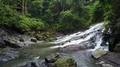 Aerial drone shot flying inside jungle with rocky waterfall and palm trees 4k or 4k+ Resolution