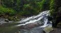 Aerial drone shot flying inside jungle with rocky waterfall and palm trees Photo