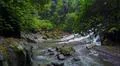 Aerial drone shot flying inside jungle with rocky waterfall and palm trees Photo