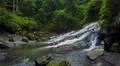Aerial drone shot flying inside jungle with rocky waterfall and palm trees Photo