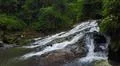 Aerial drone shot flying inside jungle with rocky waterfall and palm trees Photo
